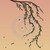 :iconwillowgrasp: