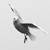 :iconWillowhisperer: