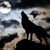 :iconwillowolf7: