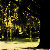 :iconwillowtree90: