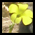 :iconwillowtrees7: