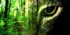 :iconwillowtreesgrow: