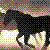 :iconwillowwolf: