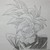 :iconwilltocool42: