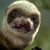 :iconwillwill91: