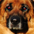 :iconwilunas: