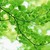 :iconwilwarin-noldor: