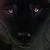 :iconwin-tah: