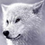 :iconWind-In-Her-Hair: