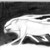 :iconwind-of-shadows: