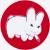 :iconwind-sower: