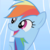 :iconwind-the-wolf: