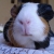 :iconwind07: