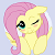 :iconwind4air: