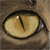 :iconwindbow: