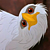 :iconwinddrag0n: