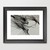 :iconwinderart: