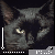 :iconwindfallfeather: