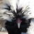 :iconwindfisch93: