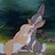 :iconwindghostwolf: