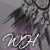 :iconwindherz: