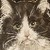 :iconwindmillx: