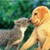 :iconwindow16: