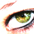 :iconwindowtoyourmotives: