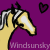 :iconwindsunsky: