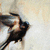 :iconwindswept134: