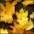 :iconwindsymmetry:
