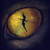 :iconwindteller: