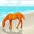:iconwindy-fox:
