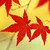 :iconwindyleaves: