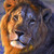 :iconwindytrails: