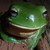 :iconwingadee: