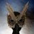 :iconwingdmessenger: