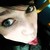 :iconwinged-bullett: