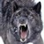 :iconwingedhybrid3: