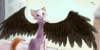 :iconwingedsfc: