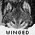 :iconwingedwolf: