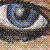 :iconwings-of-celeste: