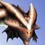 :iconwings-of-copper: