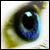 :iconwingssss: