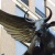 :iconwingstripe: