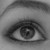:iconwingswhichcantfly: