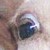 :iconwink512: