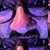 :iconwinkinc2929: