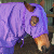 :iconwinlight: