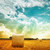 :iconwinner22580: